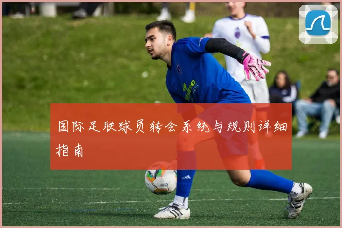 国际足联球员转会系统与规则详细指南