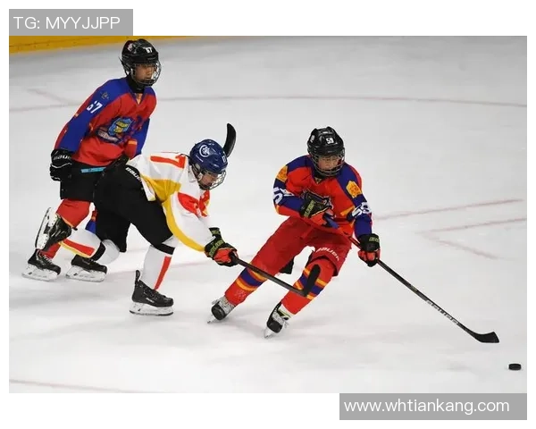 用户成长计划：激励冰球突破社区贡献者的创新机制与发展路径探讨