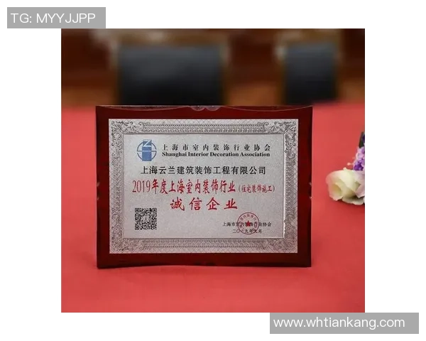 冰球突破荣获行业大奖的品牌建设秘诀与成功之道探讨