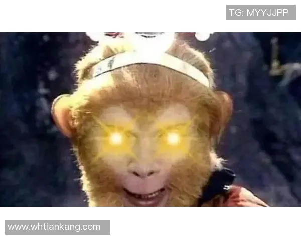 火眼金睛揭秘悟空体育AI赛事分析系统的战术解读之道