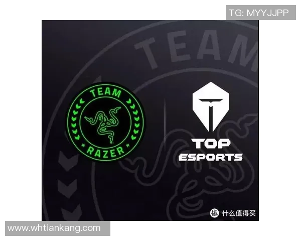 电竞俱乐部估值分析揭示全球TOP20俱乐部价值排行榜及其发展潜力 电竞俱乐部估值分析揭示全球TOP20俱乐部价值排行榜及其发展潜力